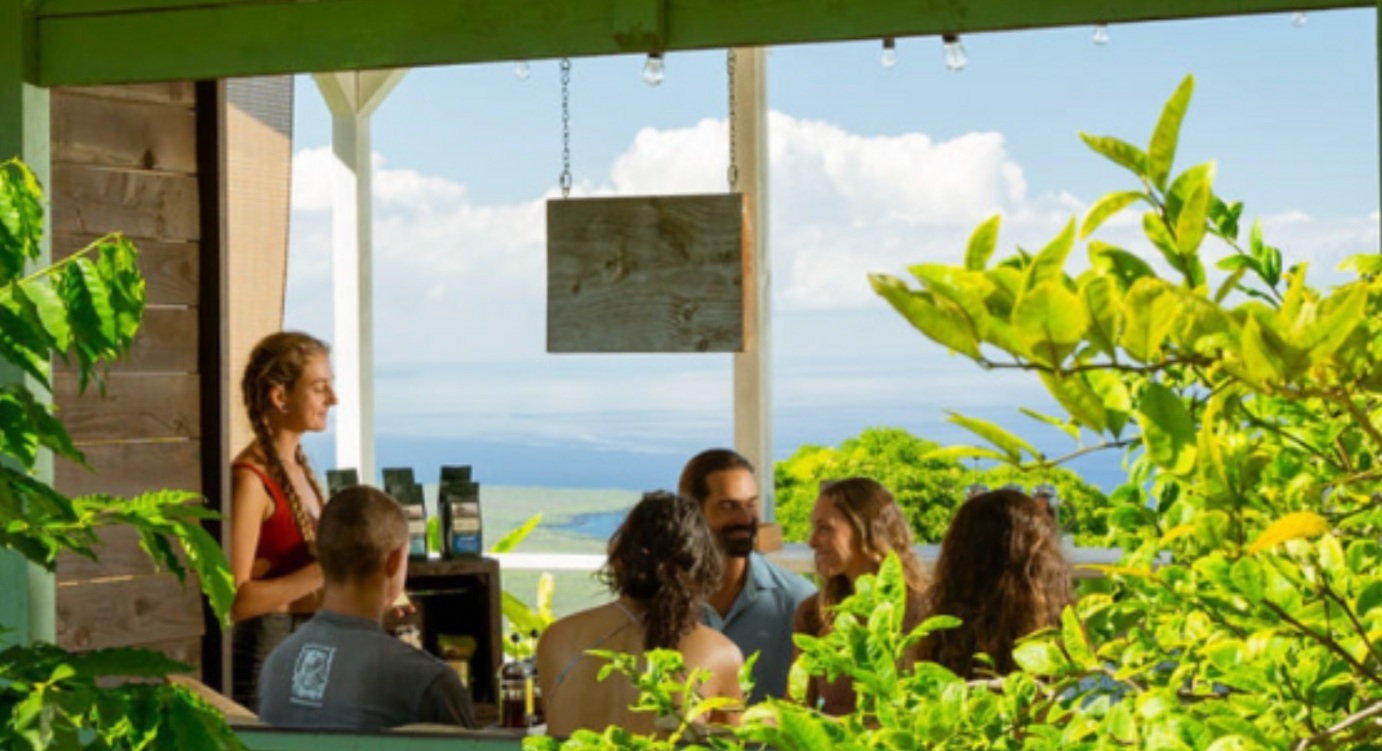 Hala-Tree-Coffee-1