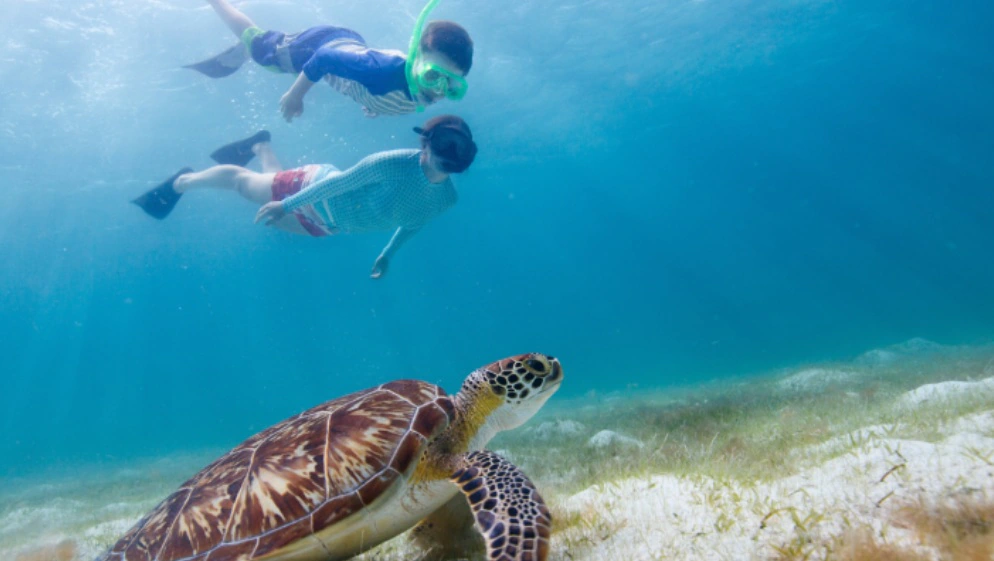 Hawaii-Pacific-Adventures