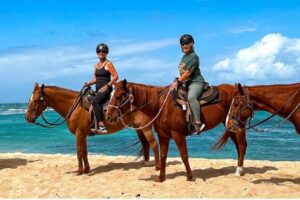 Land Activities 