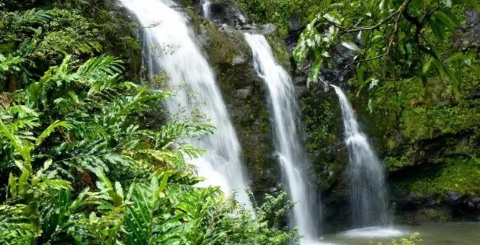 Kauai-Tour-Adventures